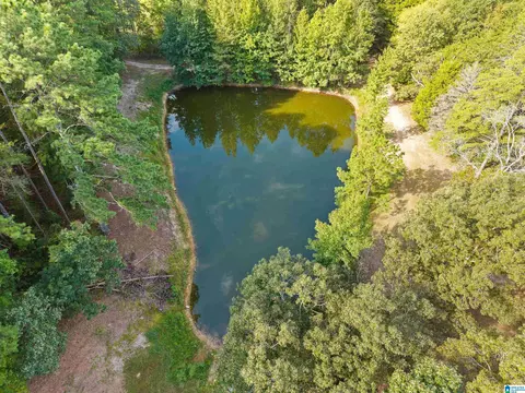 View/Area - 2516 Red Valley Rd, Remlap, AL 35133 photo 3 of 6