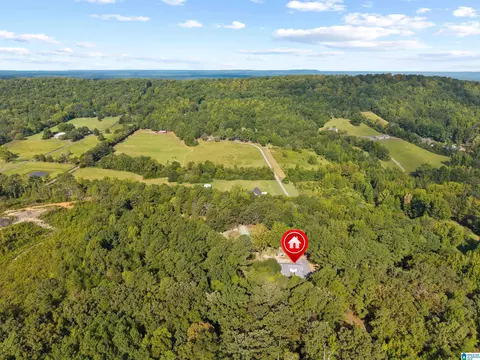 View/Area - 2516 Red Valley Rd, Remlap, AL 35133 photo 5 of 6
