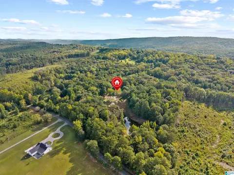 View/Area - 2516 Red Valley Rd, Remlap, AL 35133 photo 4 of 6
