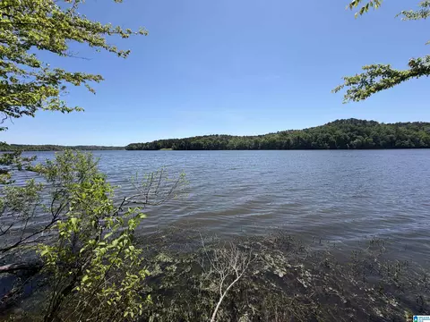 stillwaters trail LOT 160, Sylacauga, AL 35151