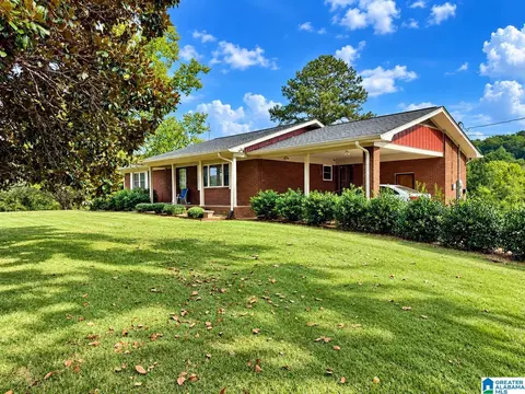554 Chappell Rd, Piedmont, AL 36272