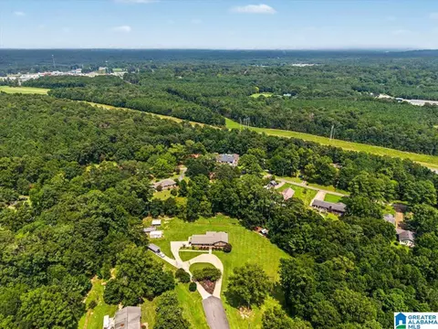 View/Area - 7 Meadowview Cir, Jasper, AL 35501 photo 3 of 5