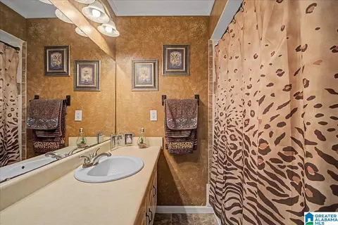 Bath - 7 Meadowview Cir, Jasper, AL 35501 photo 2 of 2