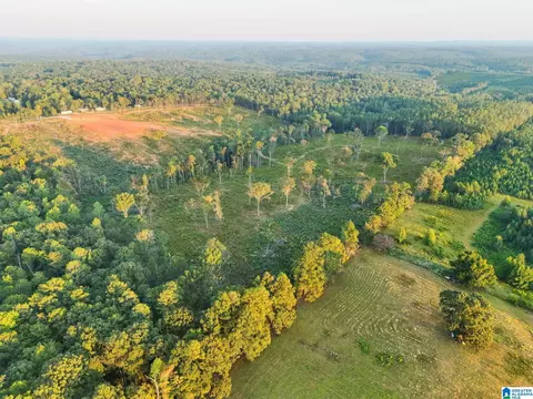 5651 County Road 97 #5651, Clanton, AL 35046 photo 4