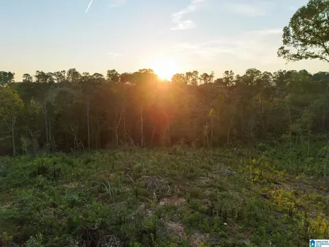 5651 County Road 97 #5651, Clanton, AL 35046 photo 8