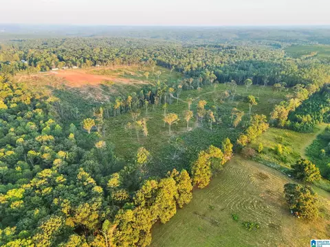 5651 County Road 97 #5651, Clanton, AL 35046 photo 5