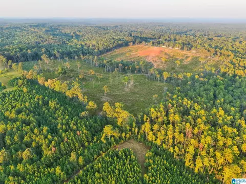 5651 County Road 97 #5651, Clanton, AL 35046 photo 6