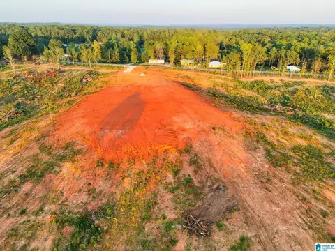 5651 County Road 97 #5651, Clanton, AL 35046 photo 7