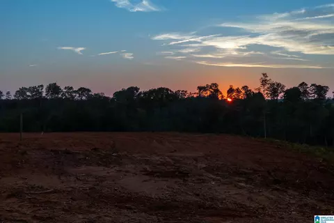 5651 County Road 97 #5651, Clanton, AL 35046 photo 13