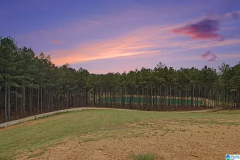 372 Chelsea Farms Ln #20, Chelsea, AL 35043