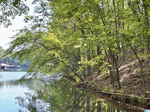 red eye lane, Wedowee, AL 36278