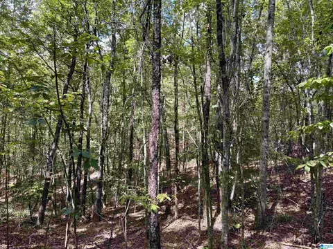 lane branch road, Wedowee, AL 36278