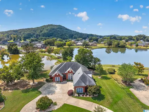 46 Pintail Pt, Oxford, AL 36203
