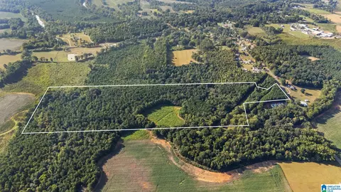 0 Al Highway 91 #N/A, Gaylesville, AL 35973