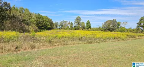 0 County Road 15 #1, Maplesville, AL 36750