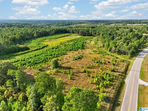 0 County Road 15 #1, Maplesville, AL 36750