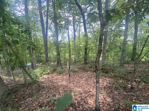 0 Mohawk Trl #-, Ohatchee, AL 36271 photo 2