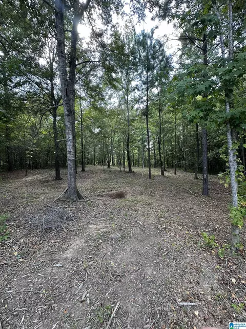 lot59 General Jackson Memorial Dr #59, Talladega, AL 35151