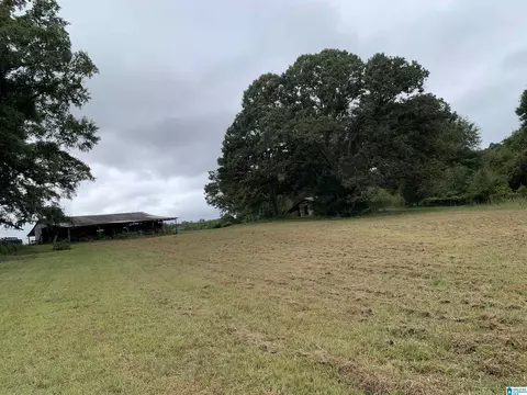 1751 Rivendell Rd #159 ACRES, Dadeville, AL 36853