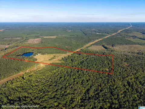 1751 Rivendell Rd #159 ACRES, Dadeville, AL 36853