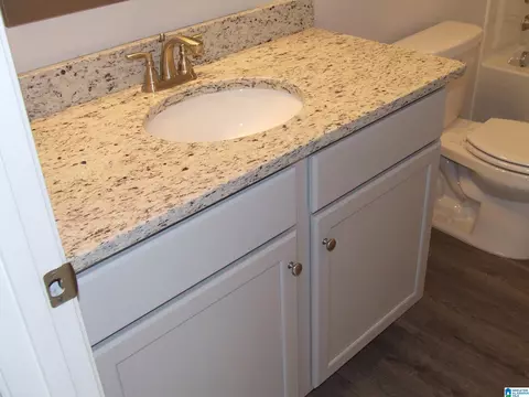 Bath - 388 Union Loop, Montevallo, AL 35115 photo 4 of 7