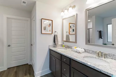 Entry Way - 405 Patrick Rd, Alabaster, AL 35007 photo 5 of 6