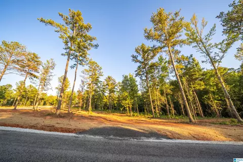 lot19 Cams Cov Old Highway 431 #LOT 19, Wedowee, AL 36278