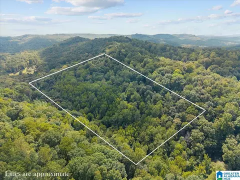 0 Cliff Rd #0, Springville, AL 35146