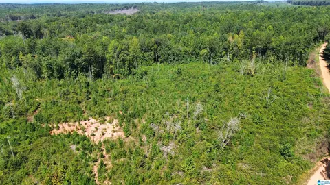 0 Big Woods Rd #0, Alexander City, AL 35010