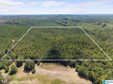 0 County Road 750 #1, Plantersville, AL 36758