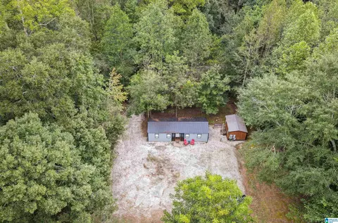 2371 Mount Moriah Rd, Delta, AL 36258 photo 3