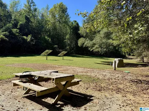 2371 Mount Moriah Rd, Delta, AL 36258 photo 6