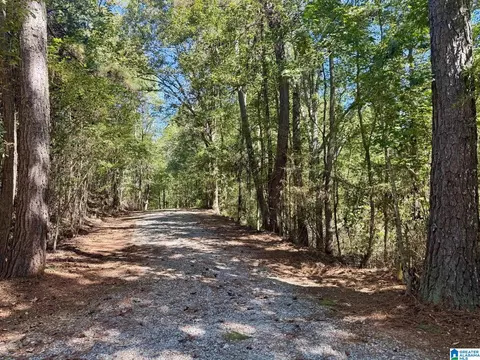 2371 Mount Moriah Rd, Delta, AL 36258 photo 24