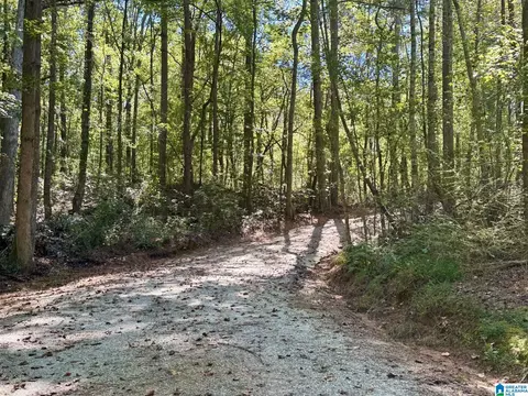 2371 Mount Moriah Rd, Delta, AL 36258 photo 25