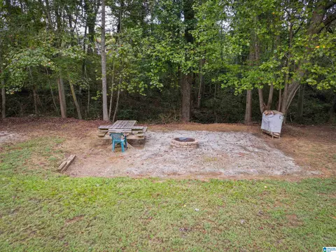 2371 Mount Moriah Rd, Delta, AL 36258 photo 8