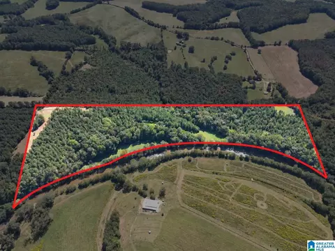 40 Acres County Road 457 Apt 40- Acres #40+/- ACRES, Woodland, AL 36280