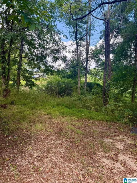 7526 Cahaba Ave #9/1, Leeds, AL 35094