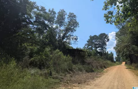 00 County Road 163 #2 PARCELS INCL, Jemison, AL 35085