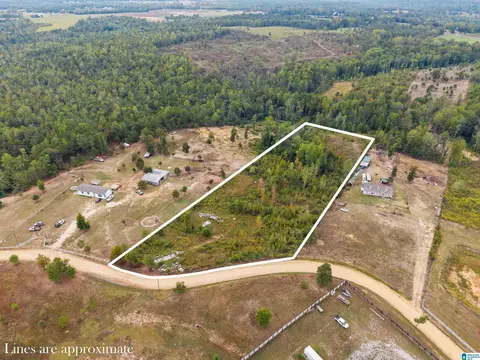 0 Road County Road 341 #1, Maplesville, AL 36750