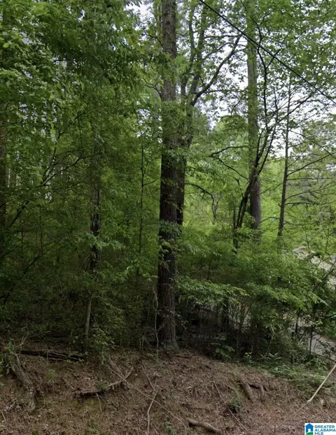1722 Big Mountain Dr #/2, Birmingham, AL 35235
