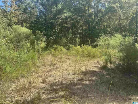 lot4 Mill Creek Rd #4, Nauvoo, AL 35578