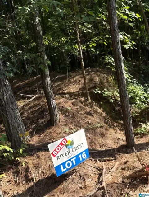 lot16 River Crest Dr #16, Cordova, AL 35550