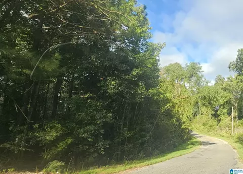 16 Valley Xing #1, Valley Grande, AL 36703