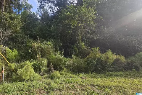 17 Valley Xing #30, Valley Grande, AL 36703