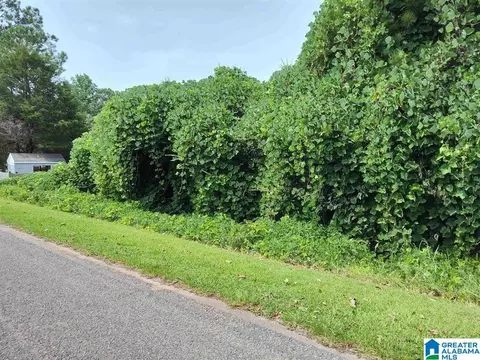 0 Hollins Cir #0, Goodwater, AL 35072