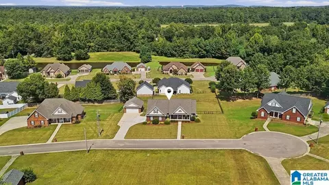 View/Area - 145 Hope St, Clanton, AL 35045 photo 3 of 5