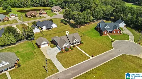 View/Area - 145 Hope St, Clanton, AL 35045 photo 5 of 5