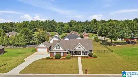 View/Area - 145 Hope St, Clanton, AL 35045 photo 1 of 5