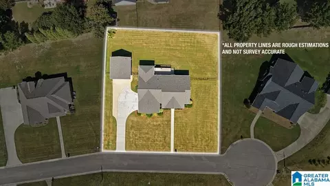 View/Area - 145 Hope St, Clanton, AL 35045 photo 4 of 5