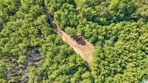 0 Montevallo Rd #1, Centreville, AL 35042